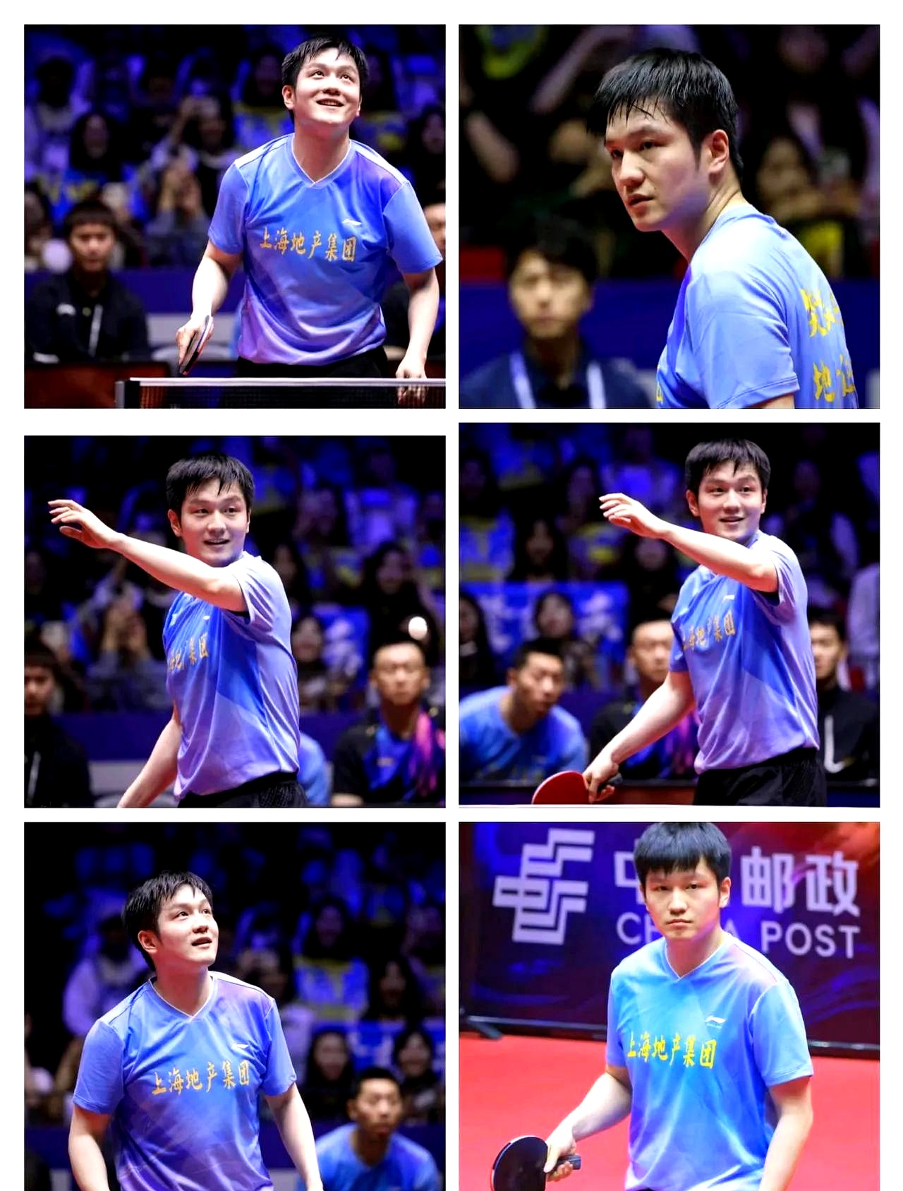 德国乒乓球队绝杀瑞典乒乓球队，樊振东惊艳世界的简单介绍